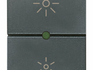 VIMAR 16559.1 IDEA MASTER REGULATOR
