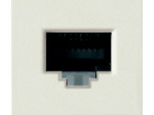 RJ45 Cat5e Netsafe UTP utičnica bijela
