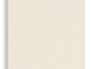 30061.C LINEA DVOSMJERNI TASTER 10A CANVAS